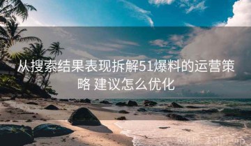 从搜索结果表现拆解51爆料的运营策略 建议怎么优化