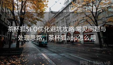 茶杯狐SEO优化避坑攻略 常见问题与处理思路，茶杯狐app怎么用