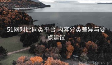 51网对比同类平台 内容分类差异与要点建议