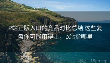 P站正版入口的竞品对比总结 这些复盘你可能用得上，p站指哪里