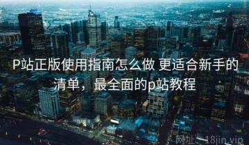 P站正版使用指南怎么做 更适合新手的清单，最全面的p站教程