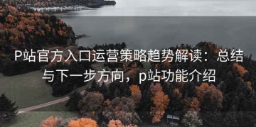 P站官方入口运营策略趋势解读：总结与下一步方向，p站功能介绍