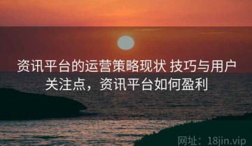 资讯平台的运营策略现状 技巧与用户关注点，资讯平台如何盈利