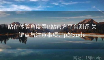 站在体验角度看P站官方平台测评 关键点与注意事项，p站xude