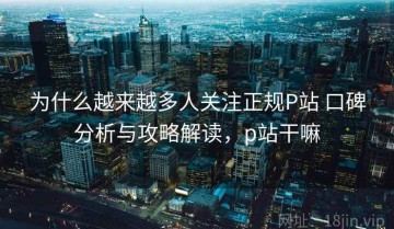 为什么越来越多人关注正规P站 口碑分析与攻略解读，p站干嘛
