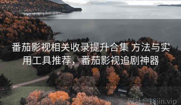 番茄影视相关收录提升合集 方法与实用工具推荐，番茄影视追剧神器