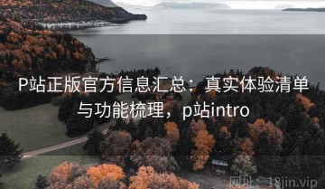 P站正版官方信息汇总：真实体验清单与功能梳理，p站intro