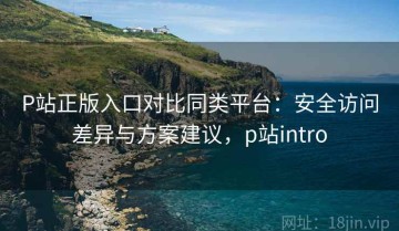 P站正版入口对比同类平台：安全访问差异与方案建议，p站intro