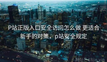 P站正版入口安全访问怎么做 更适合新手的对策，p站安全规定