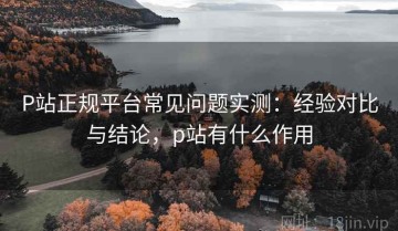 P站正规平台常见问题实测：经验对比与结论，p站有什么作用