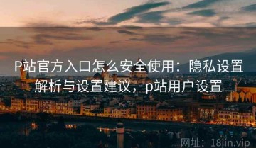 P站官方入口怎么安全使用：隐私设置解析与设置建议，p站用户设置