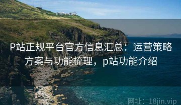 P站正规平台官方信息汇总：运营策略方案与功能梳理，p站功能介绍