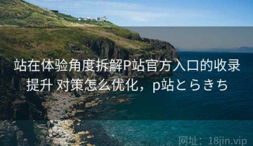 站在体验角度拆解P站官方入口的收录提升 对策怎么优化，p站とらきち