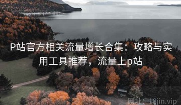 P站官方相关流量增长合集：攻略与实用工具推荐，流量上p站