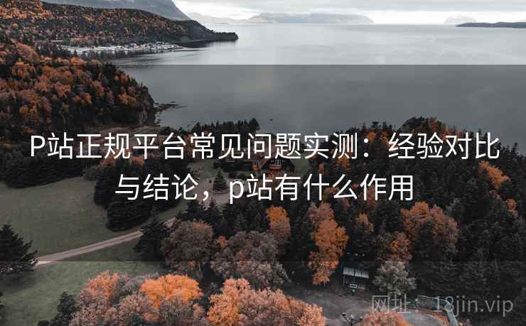 P站正规平台常见问题实测：经验对比与结论，p站有什么作用