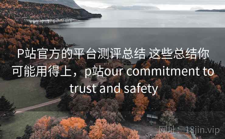P站官方的平台测评总结 这些总结你可能用得上,p站our commitment to trust and safety P站官方的平台测评总结 这些总结你可能用得上,p站our commitment to trust and safety