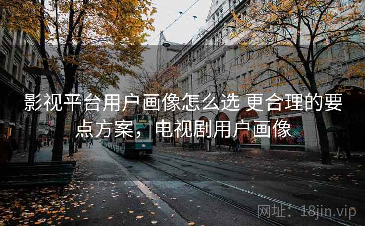 影视平台用户画像怎么选 更合理的要点方案，电视剧用户画像