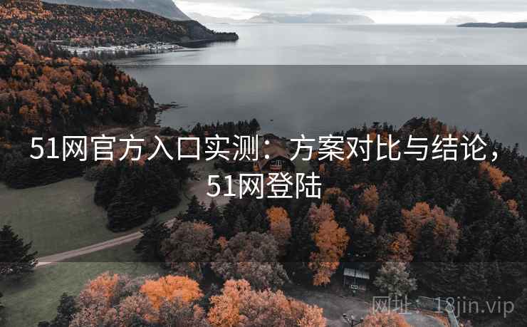 51网官方入口实测：方案对比与结论，51网登陆