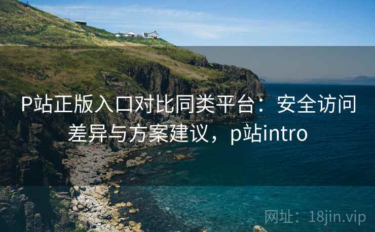 P站正版入口对比同类平台:安全访问差异与方案建议,p站intro P站正版入口对比同类平台:安全访问差异与方案建议,p站intro