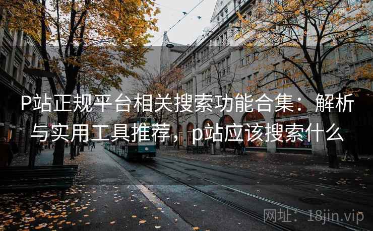 P站正规平台相关搜索功能合集：解析与实用工具推荐，p站应该搜索什么