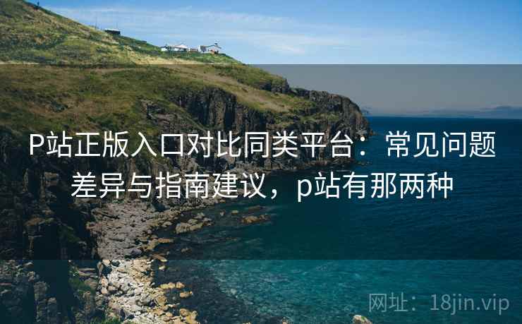 P站正版入口对比同类平台:常见问题差异与指南建议,p站有那两种 P站正版入口对比同类平台:常见问题差异与指南建议,p站有那两种